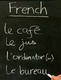 French French Dictionary Learn French