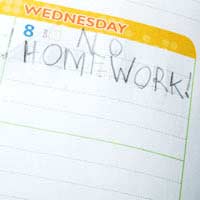 Keeping A Homework Diary